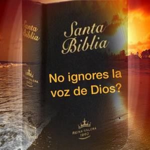 Meet your Posher, Florecita